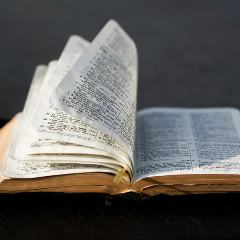 MIN2032 Principle of Preaching การเทศนาเบื้องต้น